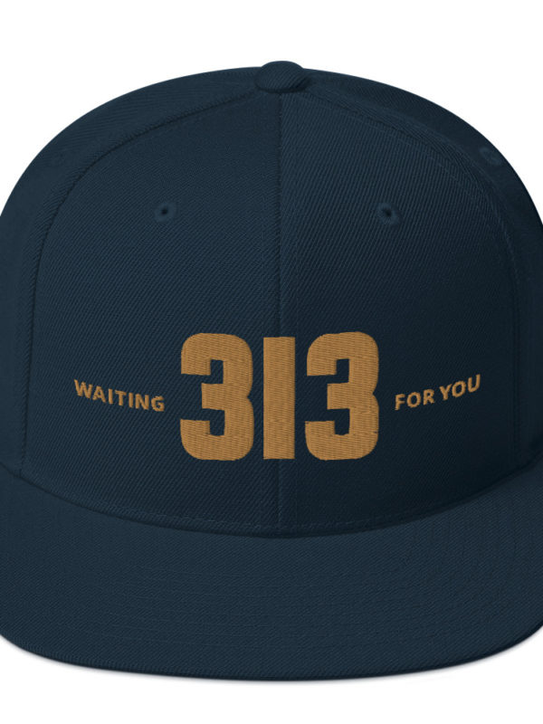 313 - Snapback Hat - Image 4