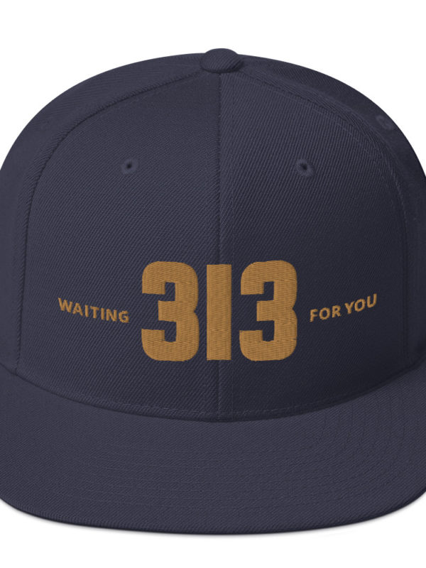 313 - Snapback Hat - Image 3