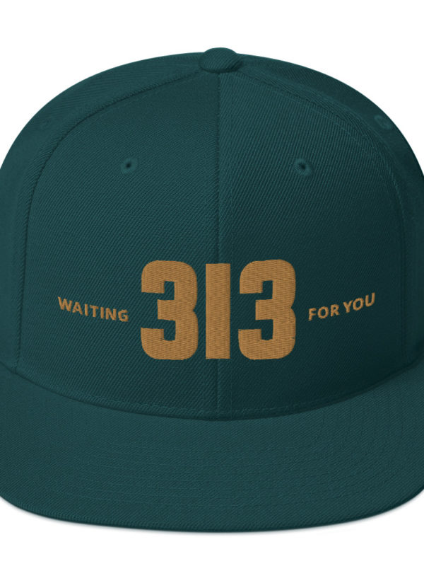 313 - Snapback Hat - Image 2