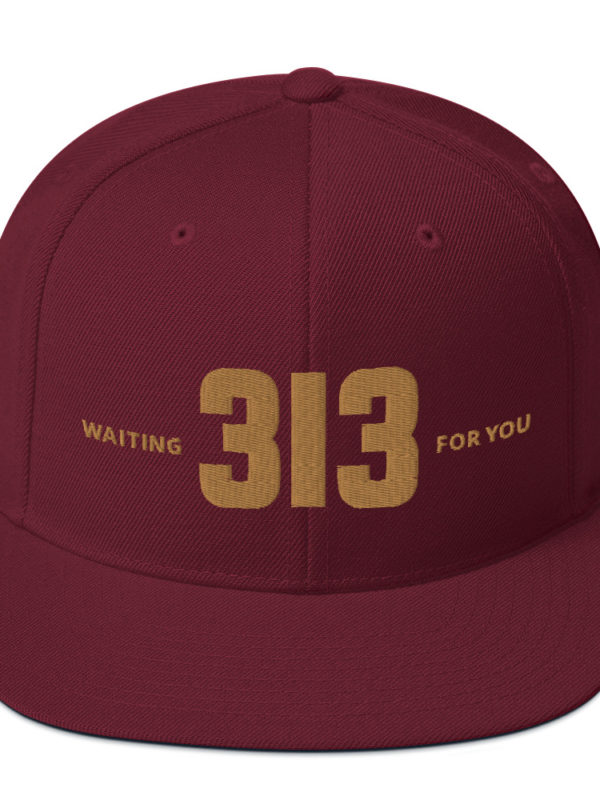 313 - Snapback Hat - Image 6