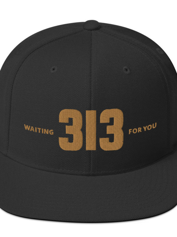313 - Snapback Hat - Image 5