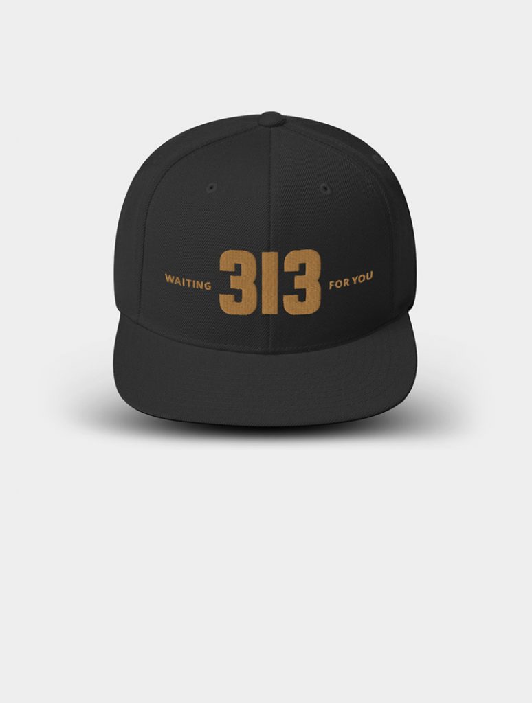 313 - Snapback Hat